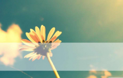 抖音如何刷粉丝和视频发布策略