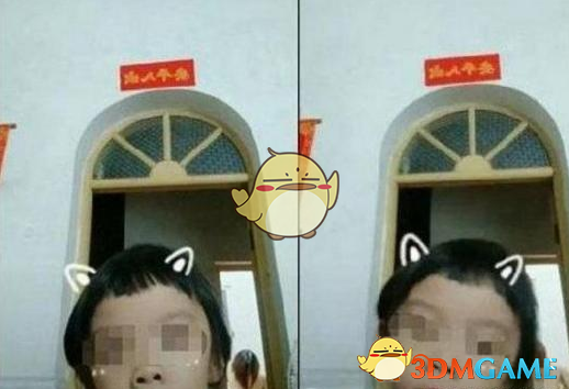 抖音黑森林:抖音五大热门事件盘点一览